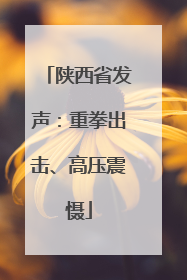 陕西省发声：重拳出击、高压震慑
