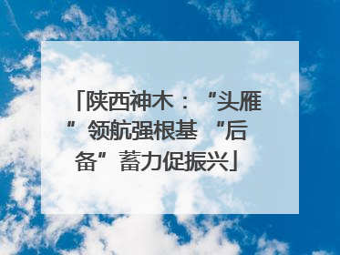 陕西神木：“头雁”领航强根基 “后备”蓄力促振兴