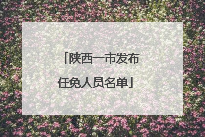 陕西一市发布任免人员名单