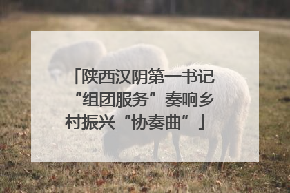 陕西汉阴第一书记“组团服务”奏响乡村振兴“协奏曲”