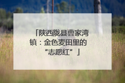 陕西陇县曹家湾镇：金色麦田里的“志愿红”