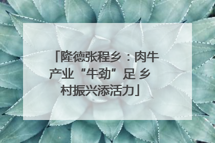 隆德张程乡：肉牛产业“牛劲”足 乡村振兴添活力