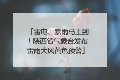 雷电、暴雨马上到！陕西省气象台发布雷雨大风黄色预警
