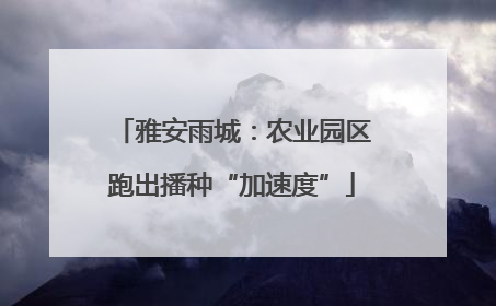 雅安雨城：农业园区跑出播种“加速度”