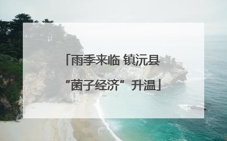 雨季来临 镇沅县“菌子经济”升温