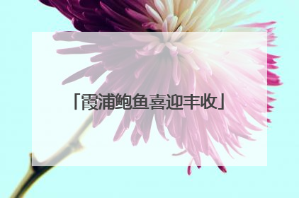 霞浦鲍鱼喜迎丰收