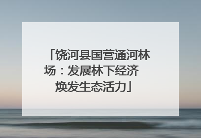 饶河县国营通河林场：发展林下经济 焕发生态活力