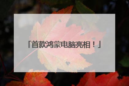 首款鸿蒙电脑亮相！