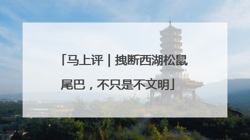 马上评｜拽断西湖松鼠尾巴，不只是不文明