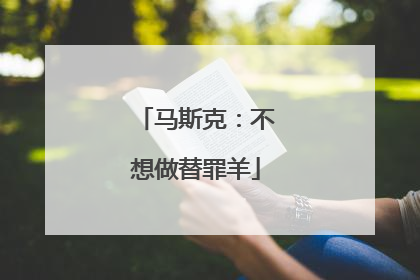 马斯克：不想做替罪羊