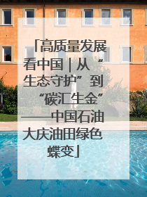 高质量发展看中国｜从“生态守护”到“碳汇生金”——中国石油大庆油田绿色蝶变