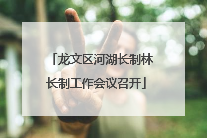 龙文区河湖长制林长制工作会议召开