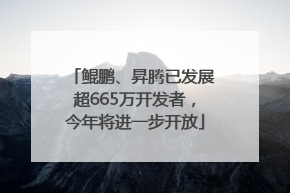 鲲鹏、昇腾已发展超665万开发者，今年将进一步开放