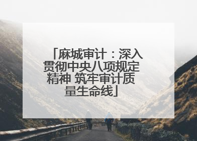 麻城审计：深入贯彻中央八项规定精神 筑牢审计质量生命线