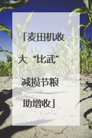 麦田机收大“比武” 减损节粮助增收