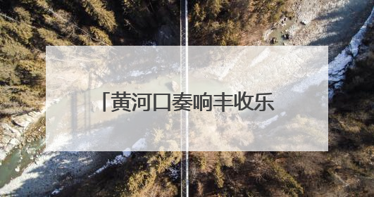 黄河口奏响丰收乐章——全市小麦进入大面积收获高峰期