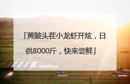 黄陂头茬小龙虾开炫，日供8000斤，快来尝鲜