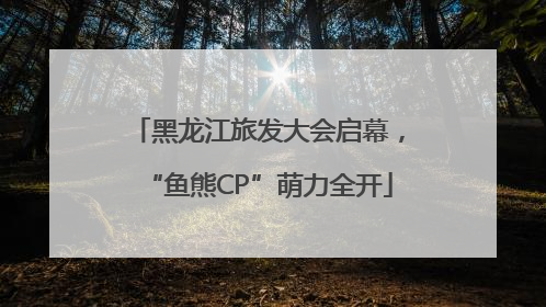 黑龙江旅发大会启幕，“鱼熊CP”萌力全开