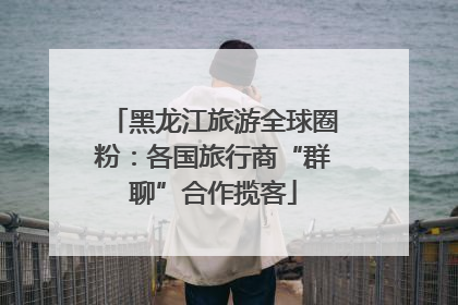 黑龙江旅游全球圈粉：各国旅行商“群聊”合作揽客