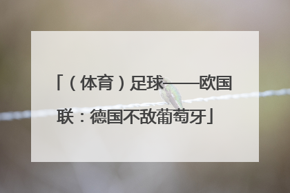 （体育）足球——欧国联：德国不敌葡萄牙
