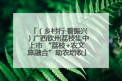 （乡村行·看振兴）广西钦州荔枝集中上市 “荔枝+农文旅融合”助农增收