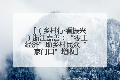 （乡村行·看振兴）浙江嘉善：“零工经济”助乡村民众“家门口”增收