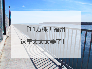 11万株！福州这里太太太美了