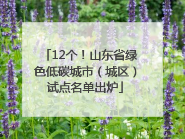 12个！山东省绿色低碳城市（城区）试点名单出炉
