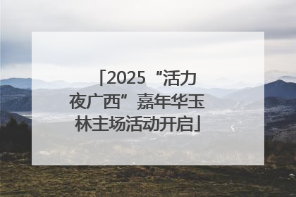 2025“活力夜广西”嘉年华玉林主场活动开启