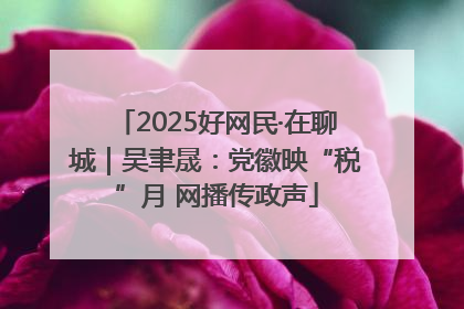 2025好网民·在聊城｜吴聿晟：党徽映“税”月 网播传政声