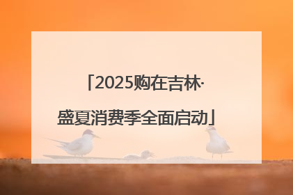 2025购在吉林·盛夏消费季全面启动