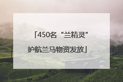 450名“兰精灵”护航兰马物资发放