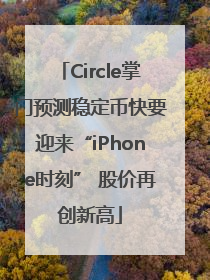 Circle掌门预测稳定币快要迎来“iPhone时刻” 股价再创新高