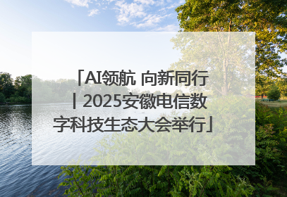 AI领航 向新同行丨2025安徽电信数字科技生态大会举行